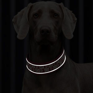Collar de perro básico de alta calidad con hebilla de alfiler, Collar de cachorro bordado ajustable, Collar de cachorro de tela transpirable de diseñador a la moda - Product Image 5