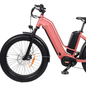 Vélo électrique rigide et bon marché, vélo électrique à mi-moteur, vélo électrique dapu à double batterie, gros vélo électrique - Product Image 4