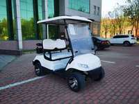 Voiture de golf Yamaha rose de qualité supérieure au prix d'usine, voitures de golf à essence