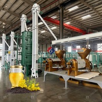 Máquina Prensa de Aceite de 20 TPD a Pequeña Escala, Expulsora de Aceite de Soja y Girasol, Planta Procesadora de Aceite de Copra