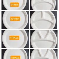 Plato Desechable de Bagazo Blanco Premium de 9 Pulgadas, Resistente, Compostable, Reutilizable, Biodegradable, para Camping, Apto para Microondas, Ecológico