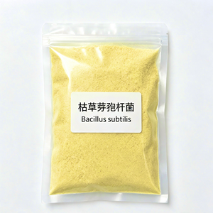Bacillus Subtilis 100 Mil Millones de UFC/g, Aditivo Probiótico <span class=keywords><strong>para</strong></span> Alimentación de <span class=keywords><strong>Ganado</strong></span> Vacuno, <span class=keywords><strong>para</strong></span> Engorde y Producción de <span class=keywords><strong>Carne</strong></span>, Pasto y Forraje - Product Image 6