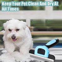 Outil professionnel anti-chute de poils, réduit efficacement la perte de poils, élimine les poils lâches, brosse de toilettage pour chiens et chats