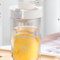 Bouteille d'eau double paroi PC style japonais-coréen avec infuseur à thé – Tasse de voyage sportive minimaliste style Instagram pour étudiants – Vente en gros
