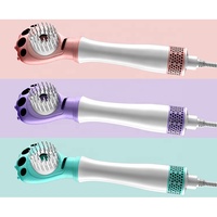 Brosse de massage électrique 400W au design élégant pour chien, multi-styler sèche-cheveux avec brosse à air chaud pour usage domestique et hôtelier