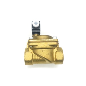 Solenoide 47619809001 47648031001 para Compresores Ir Rand, Piezas de Repuesto, Solenoide de Paro de Agua para Compresor Industrial - Product Image 3