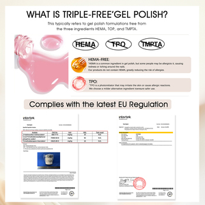 ZRKGEL - Juego <span class=keywords><strong>de</strong></span> Esmaltes <span class=keywords><strong>de</strong></span> Gel UV Profesional <span class=keywords><strong>de</strong></span> 100 Colores, sin Olor, para Uso Profesional, OEM/ODM, Marca Privada, Libre <span class=keywords><strong>de</strong></span> HEMA y TPO, con Botella Magnética LED - Product Image 6
