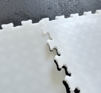 Piso de Patinaje sobre Hielo Transparente Blanco de HDPE Readygo, Baldosas para Pista de Hockey, Baldosas de PP para Pista de Patinaje, Baldosas para Exteriores