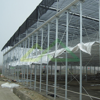 Grote commerciële multispan polyethyleen kassen, kasbouwpakketten en complete kassystemen