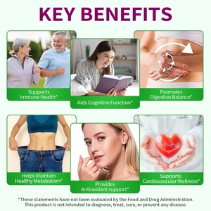 Complément Liquide de Berbérine Haute Puissance à Marque Blanche <span class=keywords><strong>pour</strong></span> le Soutien Glycémique, Gouttes Naturelles Stimulantes du Métabolisme, Faible MOQ - Product Image 5