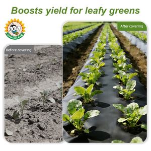Engrais à libération lente Garden Bee, film de paillis bio, plastique agricole pour légumes-feuilles, <span class=keywords><strong>acide</strong></span> fulvique, film de paillis biodégradable - Product Image 3