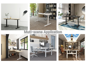 <span class=keywords><strong>Bureau</strong></span> informatique réglable à double colonne en acier inoxydable, design ergonomique moderne, avec moteur électrique simple et inversé, à prix abordable - Product Image 4