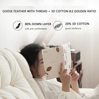 Sofá Maxky Cloud, Muebles para el Hogar, Estilo Nórdico Japonés, Tela Tecnológica, Sala de Estar, Tela de Nogal Negro, Sofá Francés