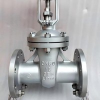 Katup Gerbang Baja Tahan Karat 1"/2"/3"/4" DN25/DN50/DN80/DN100 316L/304L/CF8M/CF3M/17-4PH/Duplex 2205 Kelas 600 Berulir NPT