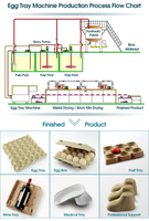 Automatische machine voor het maken van eierdozen van papierpulp, productielijn voor eierdozen van afvalpapier