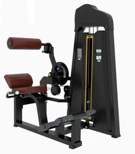 YG Fitness-1058 macchina per Crunch addominale all'ingrosso macchina per il Fitness da palestra per la parte bassa della schiena OEM Machine
