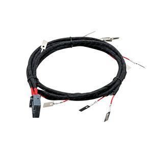 신에너지 자동차 전자 응용 배터리 팩 배선 하네스 배터리 팩 연결 와이어 BMS 와이어 하네스 - Product Image 1