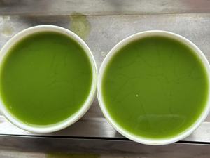 Té <span class=keywords><strong>Verde</strong></span> <span class=keywords><strong>Matcha</strong></span> Uji en Polvo de Alta Calidad, Grado Ceremonial, Certificado Halal, Orgánico, Fresco, Adelgazante, en Bolsitas - Product Image 6