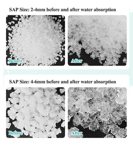 Hidrogel air untuk penggunaan pertanian penanaman kalium poliakrilat penyerap Super getah polimer