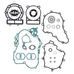 Kit complet de joints d'étanchéité (joints d'huile non inclus) - Product Image 1