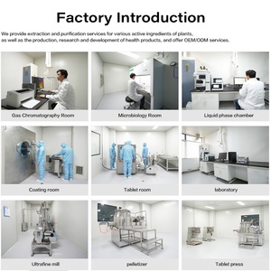 Astragaloside IV GMP chứng nhận chiết xuất thảo dược đóng gói container nhựa Thực phẩm lớp <span class=keywords><strong>astragalus</strong></span> chiết xuất <span class=keywords><strong>astragalus</strong></span> gốc bột - Product Image 5