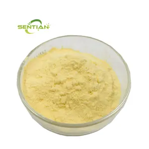 Pó amarelo da dextrina CAS 9000-70-8 adesivo amarelo da dextrina da qualidade superior do produto comestível da dextrina