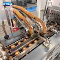 Ligne de fabrication et d'emballage automatique de biscuits sandwich Skywin