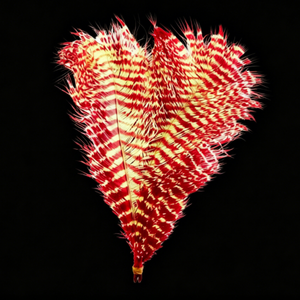 <span class=keywords><strong>Plume</strong></span> d'autruche jaune à rayures estampillées pour artisanat DIY, matériel de montage de mouches, décoration, <span class=keywords><strong>plume</strong></span> décorative pour la maison, fête, carnaval, aile en vrac - Product Image 1