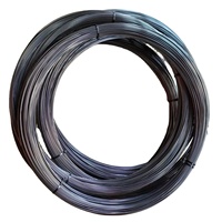Fil de tungstène pur personnalisé en usine 0,3 mm~2,00 mm par kg Excellent prix Produit