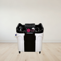 Yicheng En gros Lit de lavage portable chauffant pour spa thaïlandais, avec bassin de shampoing intégré, pour thérapie capillaire en salon