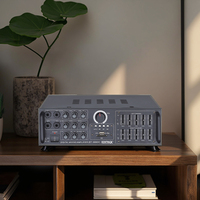 Penguat Audio penjualan terbaik penguat Mini Hifi Equalizer Stereo 2 saluran 20 watt untuk rumah