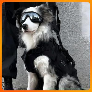 Gafas Caninas Resistentes con Lentes Irrompibles para Aventuras al Aire Libre - Product Image 4