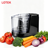 Hachoir à viande électrique mini 200W avec moteur DC, capacité de 1,0 kg/min, design portable et sûr pour un usage domestique