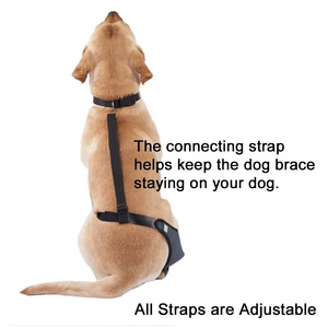 Metal şeritler ile köpek dizlik dirsek <span class=keywords><strong>brace</strong></span> diz <span class=keywords><strong>Immobilizer</strong></span> destek köpek ortak istikrarlı tutmak yardımcı, neopren köpek Stifle - Product Image 3