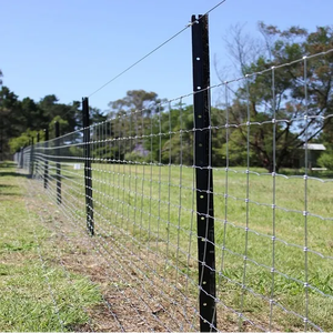 Haute qualité Offre Spéciale <span class=keywords><strong>pas</strong></span> <span class=keywords><strong>cher</strong></span> Black3ft 4ft 6ft 7ft Y poteau de clôture <span class=keywords><strong>fer</strong></span> étoile <span class=keywords><strong>piquet</strong></span> pour animaux clôture treillis et portes - Product Image 5