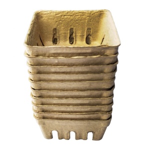 Contenitori per Frutta in Polpa di Carta Biodegradabile, Cestini per Mirtilli, Fragole e <span class=keywords><strong>Pomodorini</strong></span>, Scatole Mini per Asporto - Product Image 6