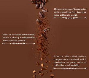 Suministro directo de fábrica <span class=keywords><strong>Café</strong></span> instantáneo liofilizado en polvo <span class=keywords><strong>Café</strong></span> instantáneo certificado Halal a granel - Product Image 3