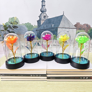 Fleur artificielle <span class=keywords><strong>en</strong></span> <span class=keywords><strong>verre</strong></span> avec <span class=keywords><strong>rose</strong></span> éternelle <span class=keywords><strong>et</strong></span> lumière LED pour femmes, <span class=keywords><strong>rose</strong></span> de <span class=keywords><strong>la</strong></span> <span class=keywords><strong>Belle</strong></span> <span class=keywords><strong>et</strong></span> <span class=keywords><strong>la</strong></span> Bête, cadeaux d'anniversaire pour filles, Noël - Product Image 4