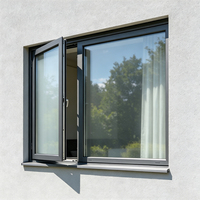 Ventana de Aluminio y Vidrio Abatible para Oficina Comercial, Resistente a la Intemperie, Anti-deformación y de Bajo Mantenimiento
