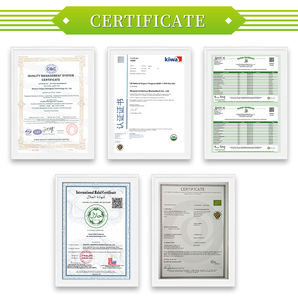 Hot Sell <strong>Bromelain</strong> <strong>2400</strong> <strong>Gdu</strong> g in Bulk CAS NO. 9001-00-7 - Product Image 3