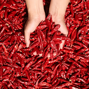 Peperoncino Rosso Secco Premium Intero ad Alta Gradazione di Piccantezza (SHU) per l'Industria Alimentare, Vendita all'Ingrosso - Product Image 5