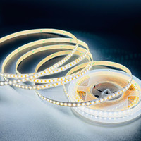 Bande lumineuse LED à double température de couleur DC12V 24V SMD 2835 240 LED/m IP20 10 mm de largeur 10W Rouleau de 10 m 3000K+6000K Lumières LED intelligentes