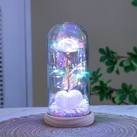 Nouvelle arrivée, rose de la galaxie avec lumière dans un dôme en verre, cadeaux pour la Saint-Valentin, fête des mères, rose éternelle
