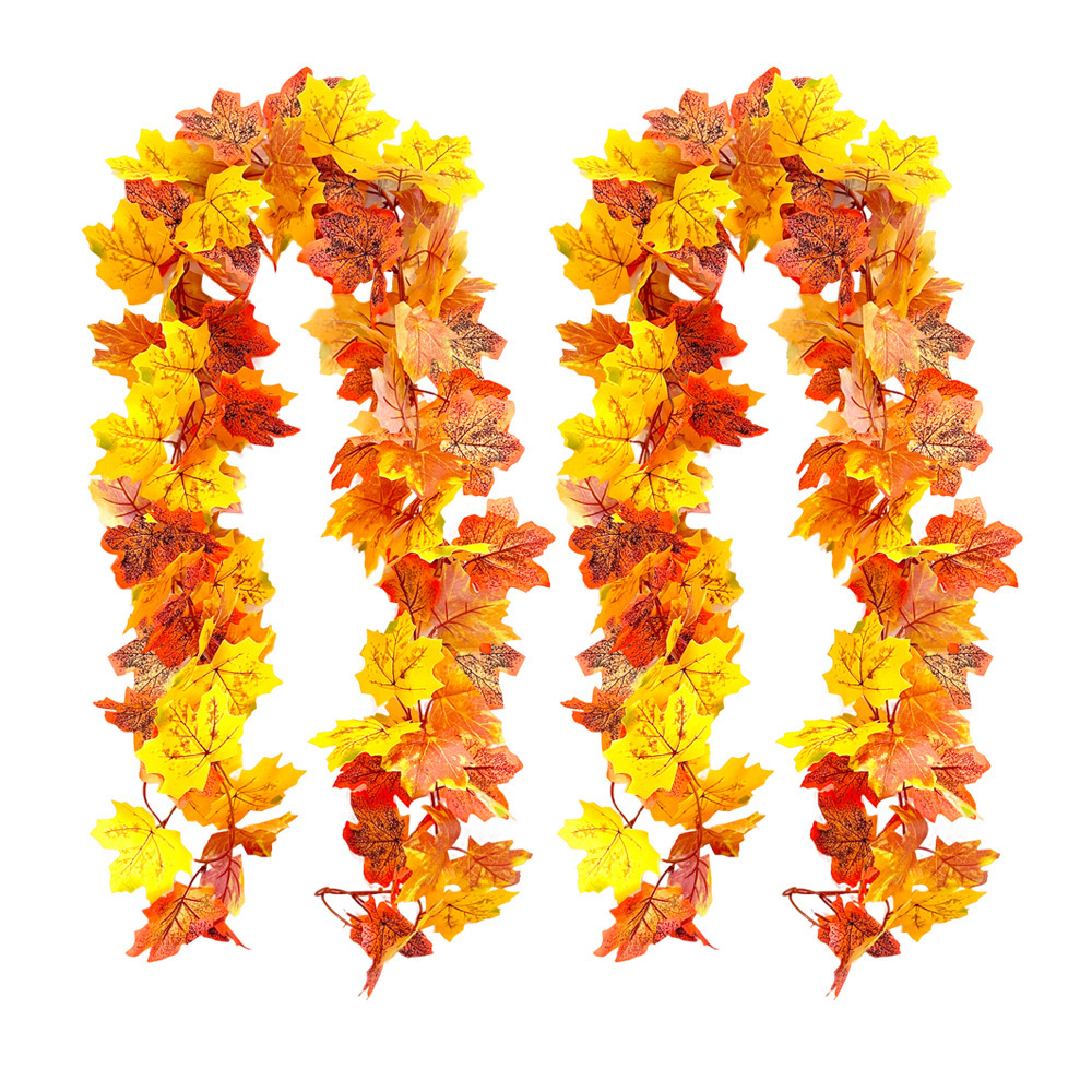 1,75 m 36 têtes - Vignes d'érable d'automne