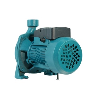 Pompe centrifuge domestique <span class=keywords><strong>CPM158</strong></span> 0,75 kW 1 CV avec corps en fonte et fil de cuivre, OEM - Product Image 3