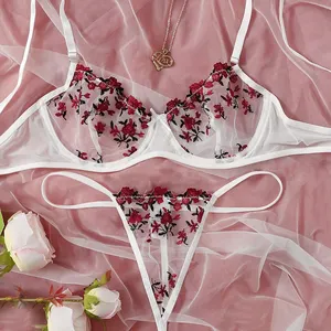 Hot Sale Newly Fashion Fancy Bra Suits Lace Fancy Bra Panty Set Women′ S  Sexy Underwear Ladies Two Piece Bra Sets - China Sexy Lingerie and Womans Sexy  Lingerie price