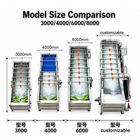 Commerciële luchtbelwasmachine voor groenten en vis, industriële fruitreiniger 2000kg/uur, ozonwasser