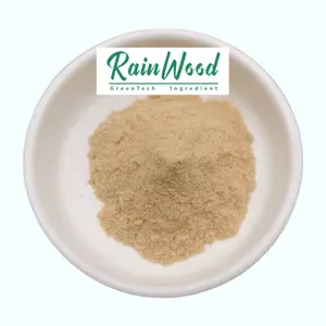 Organic Natural Gold Onion Powder Dried Onion Powder Onion Powder