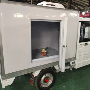 Triciclo Refrigerato per Consegna Gelati con Cabina Congelata - Product Image 2