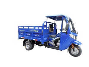Triciclo de Carga Larga con Volquete y Cubierta, Potente Motor a Gasolina de 200cc, Suministro de Fábrica - Product Image 3
